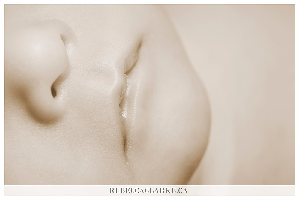 baby Landon - newborn photography 02
