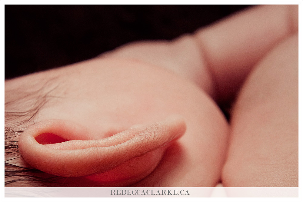 baby Landon - newborn photography