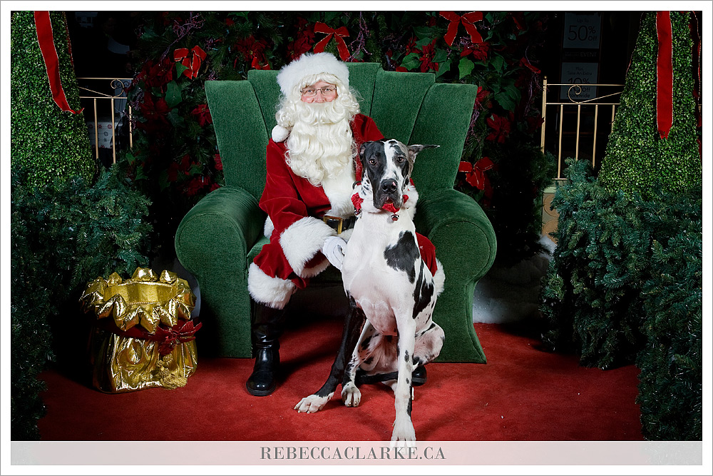 Santa Pics 2010, image 1