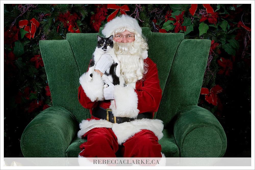 Santa Pics 2010, image 3