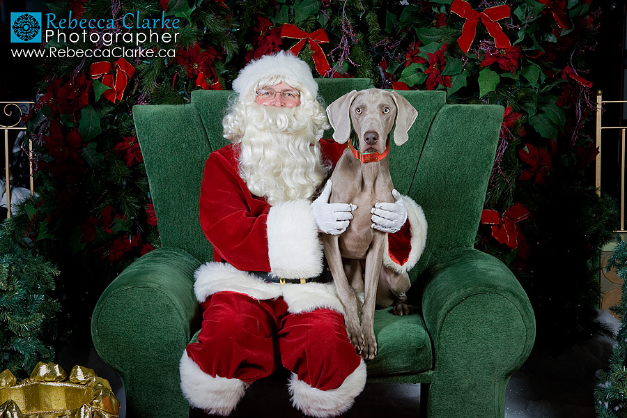 Santa Pix 08