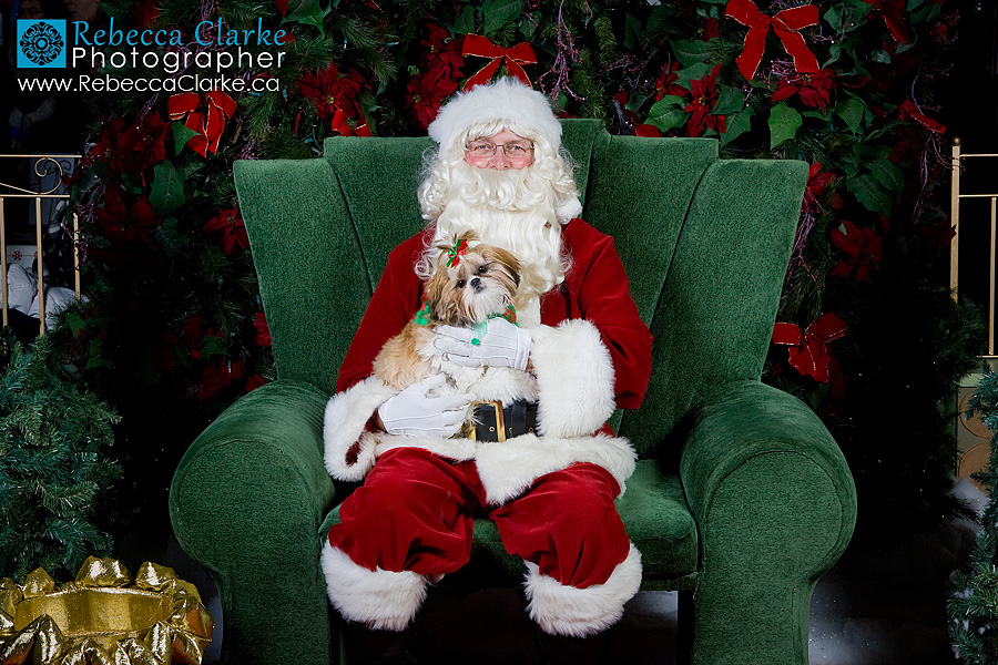 Santa Pix 09