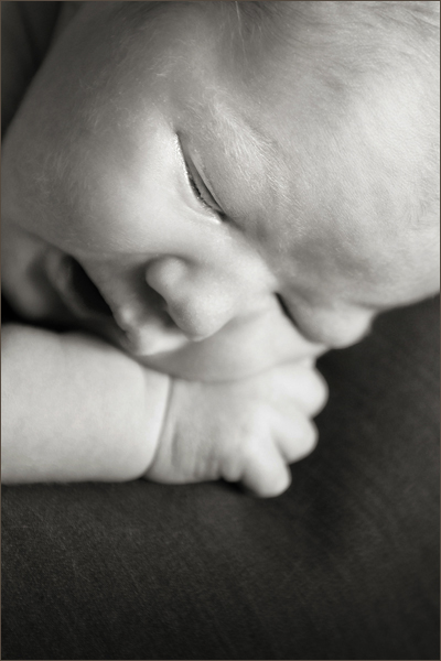Wall Art Collection, child photography, pregnancy photography, photography Halifax, photography in Halifax, family photographer Nova Scotia