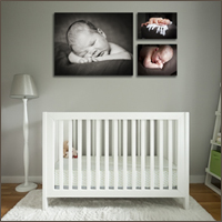 Wall Art Collection