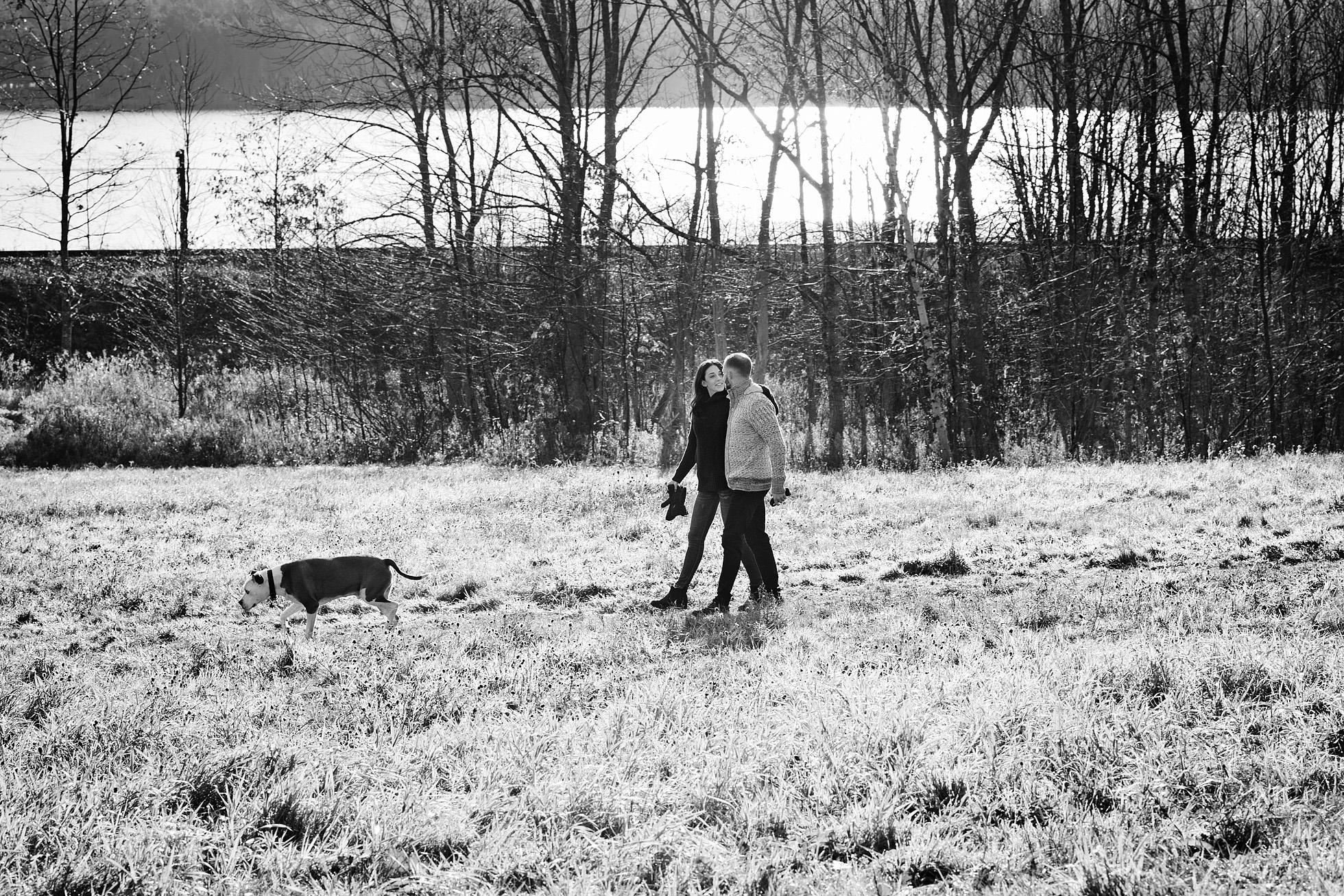 Halifax dog photography