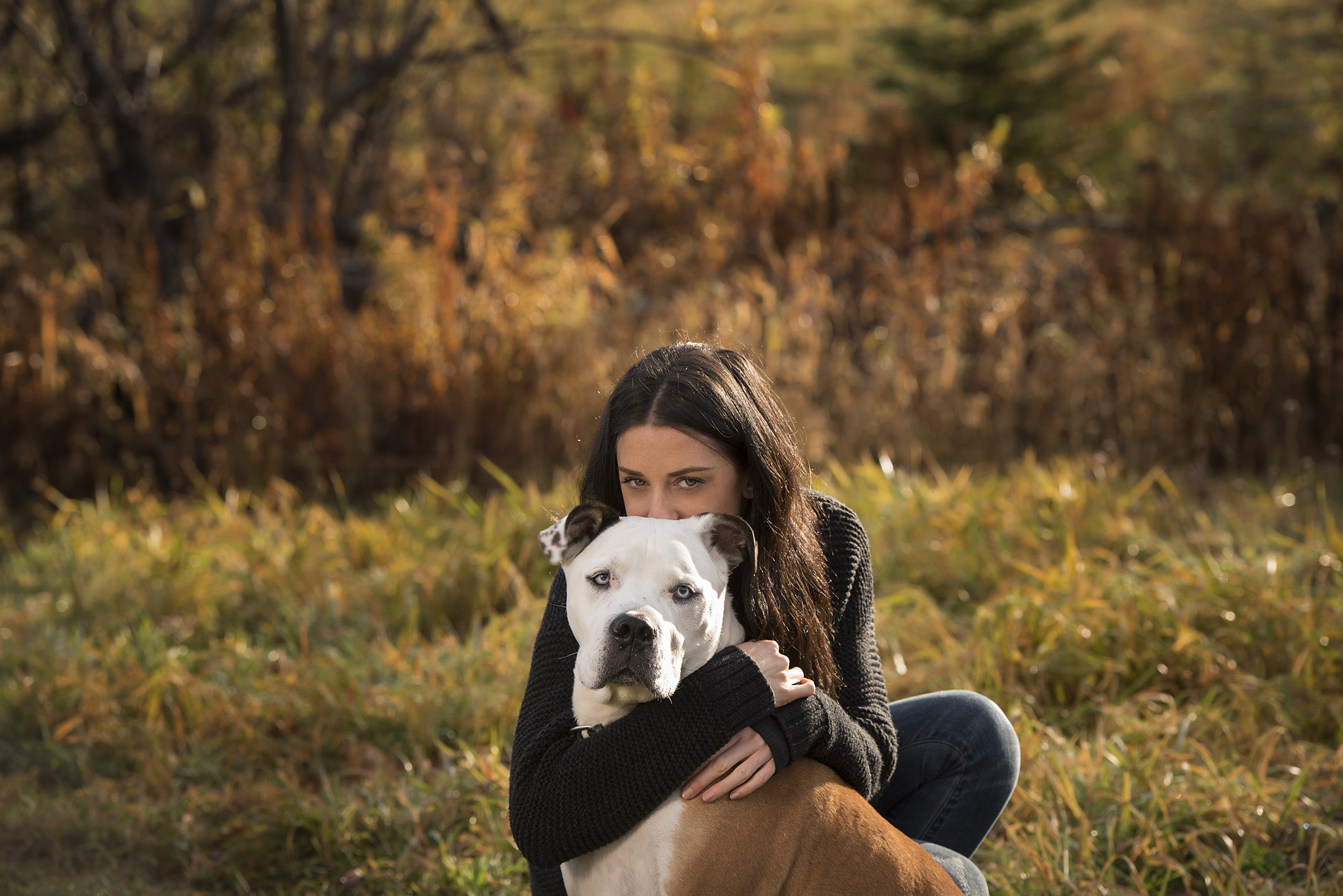 dog photographer halifax ns