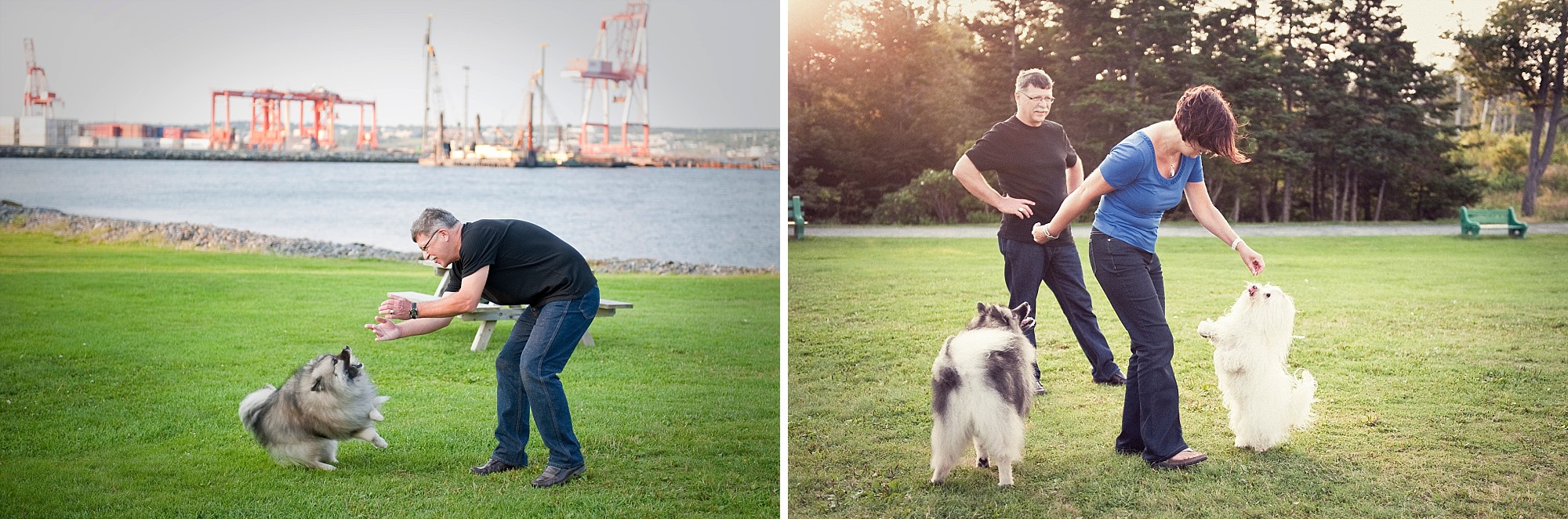 Family photo session Halifax