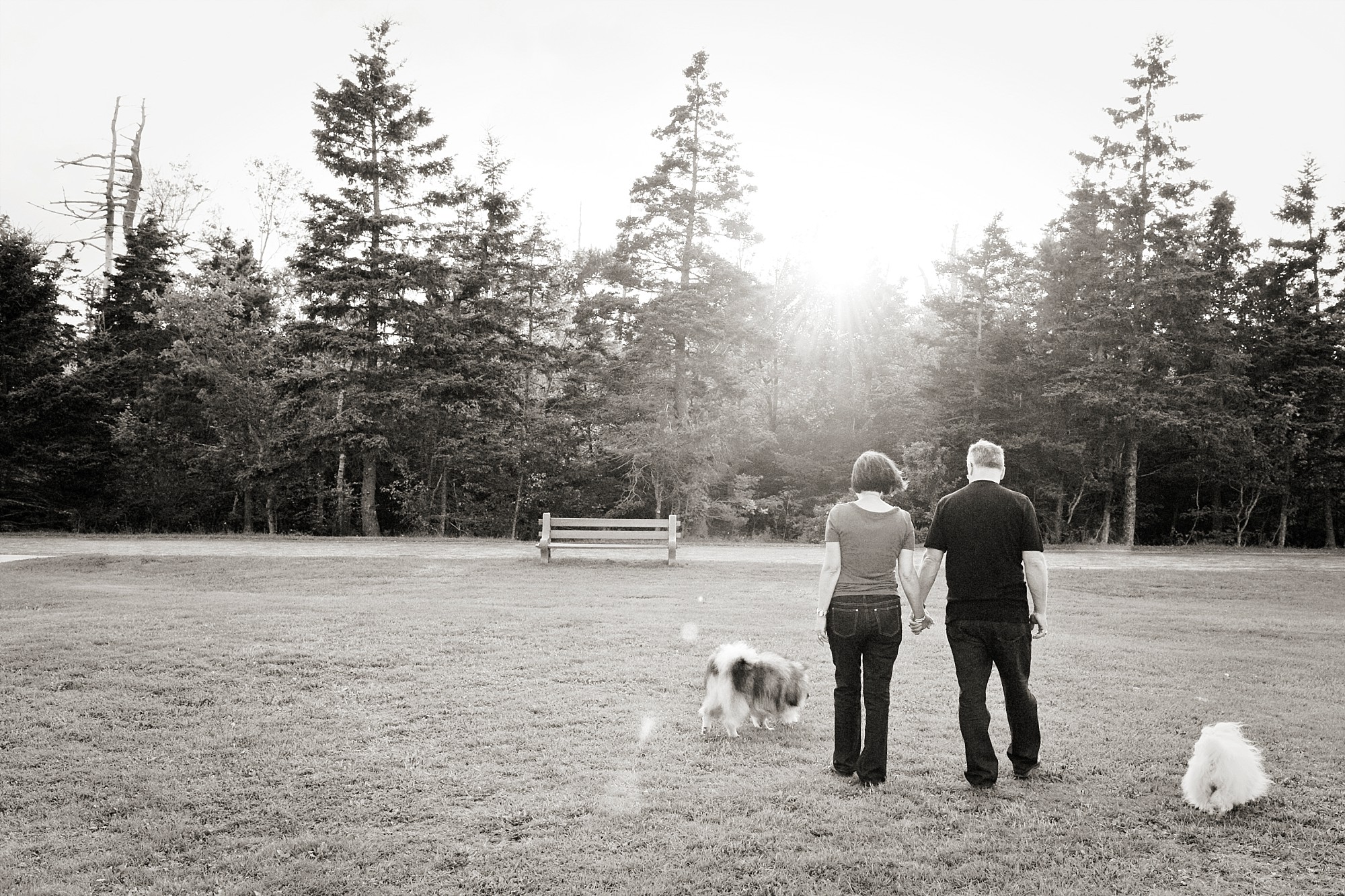 Family photographers Halifax