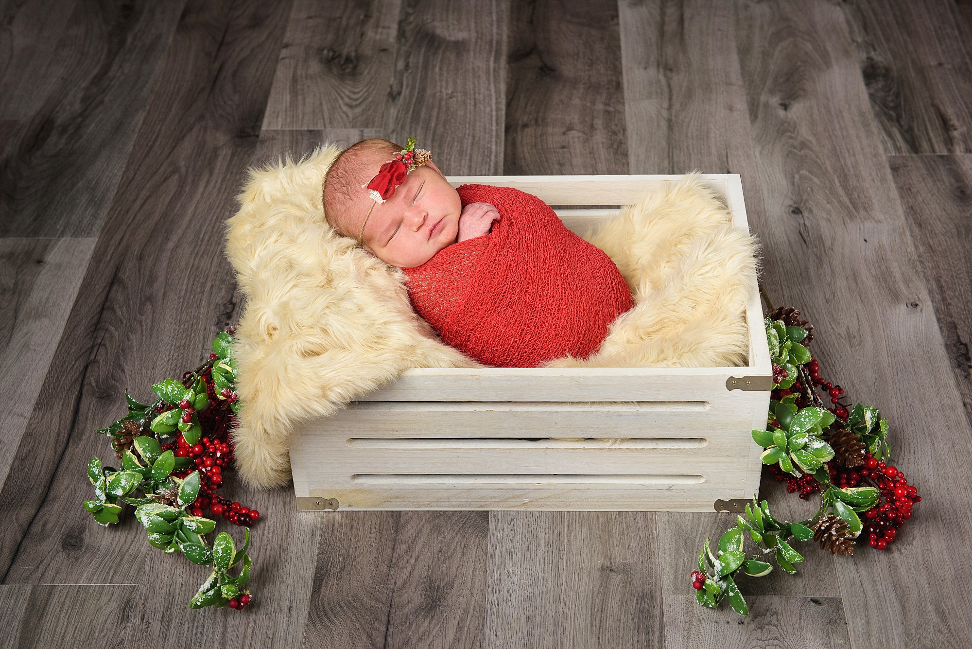 newborn photographers