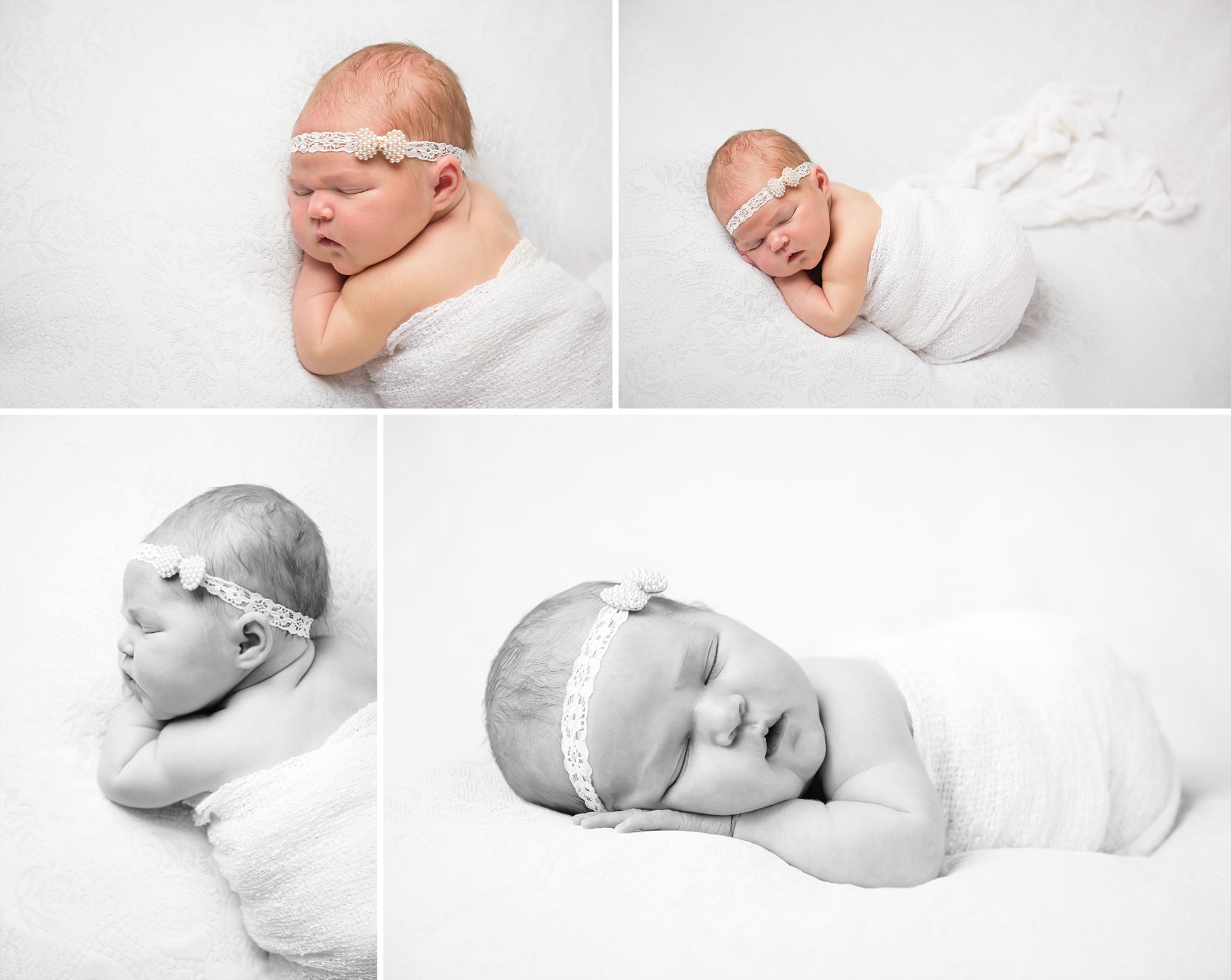 newborn photography halifax