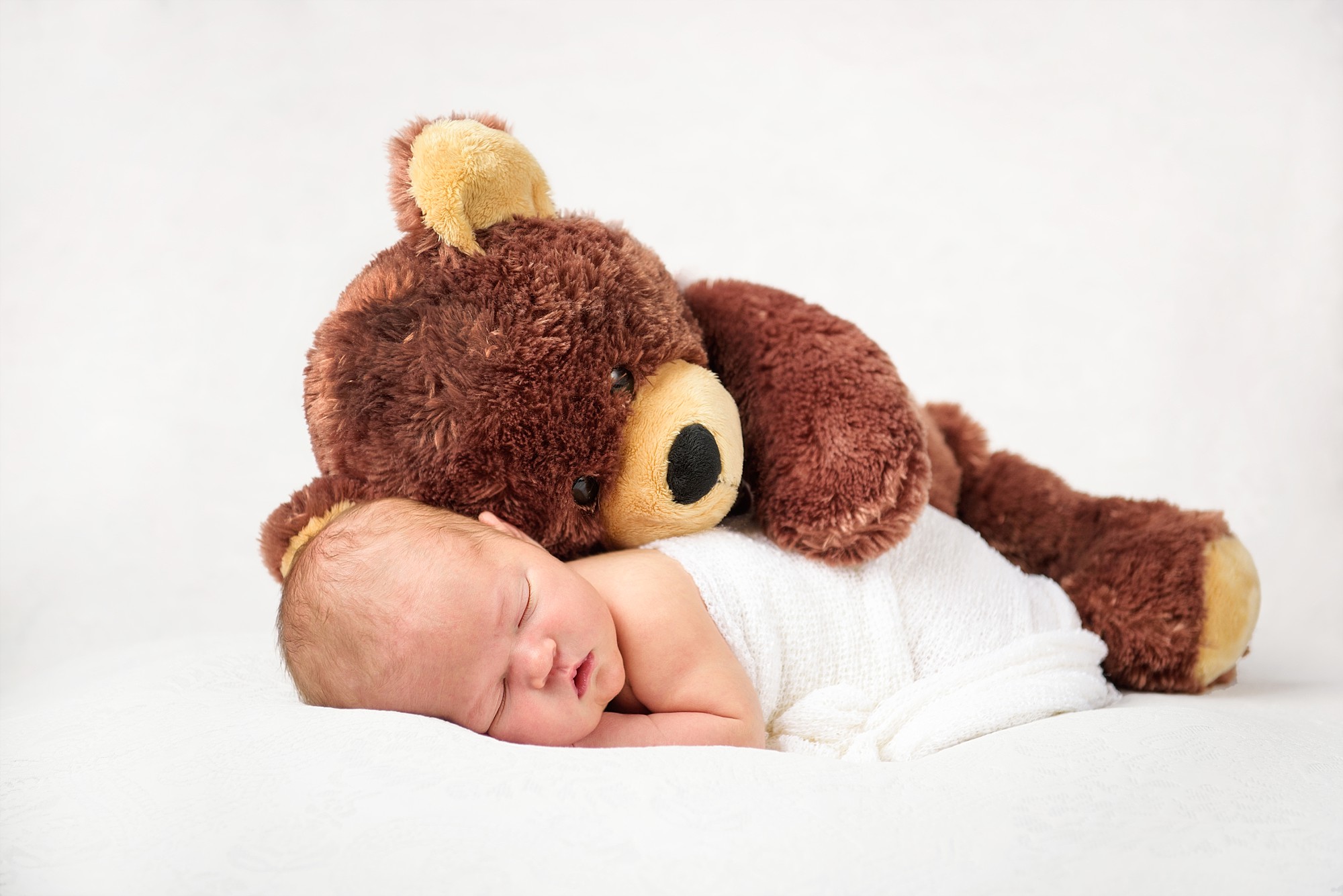 halifax newborn photographer