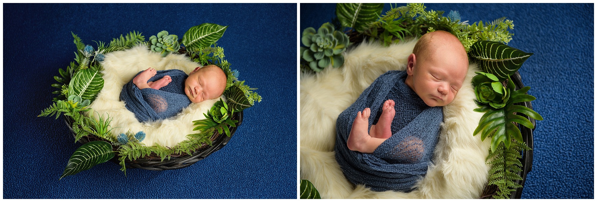halifax professional photographers
