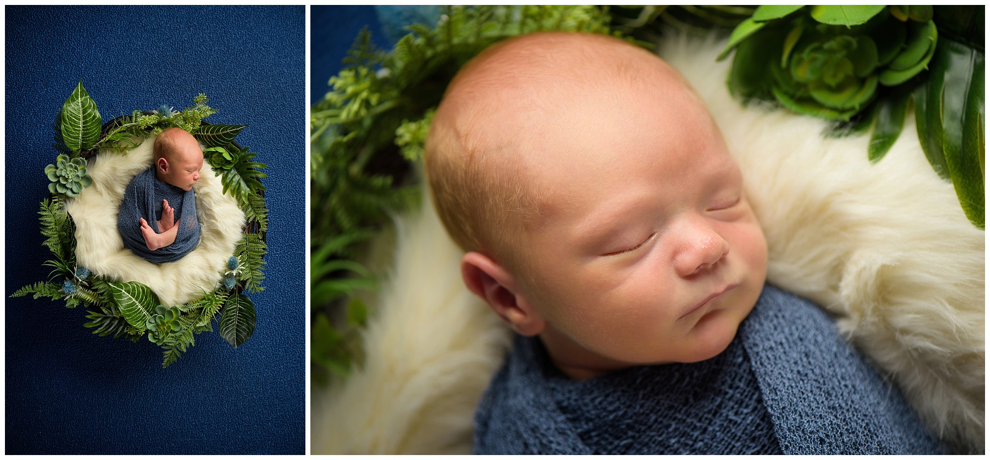 Newborn photography halifax