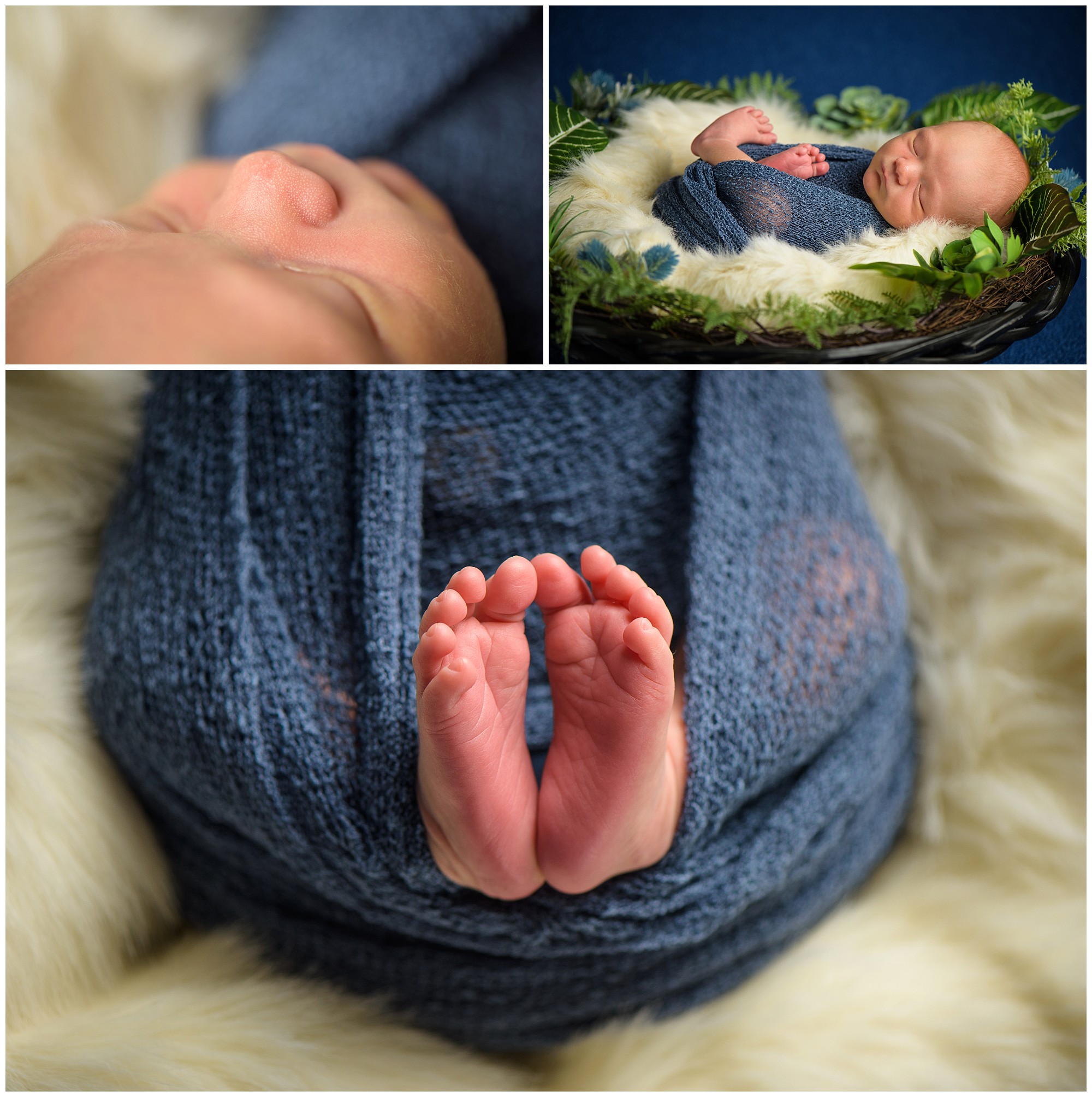 newborn photos halifax