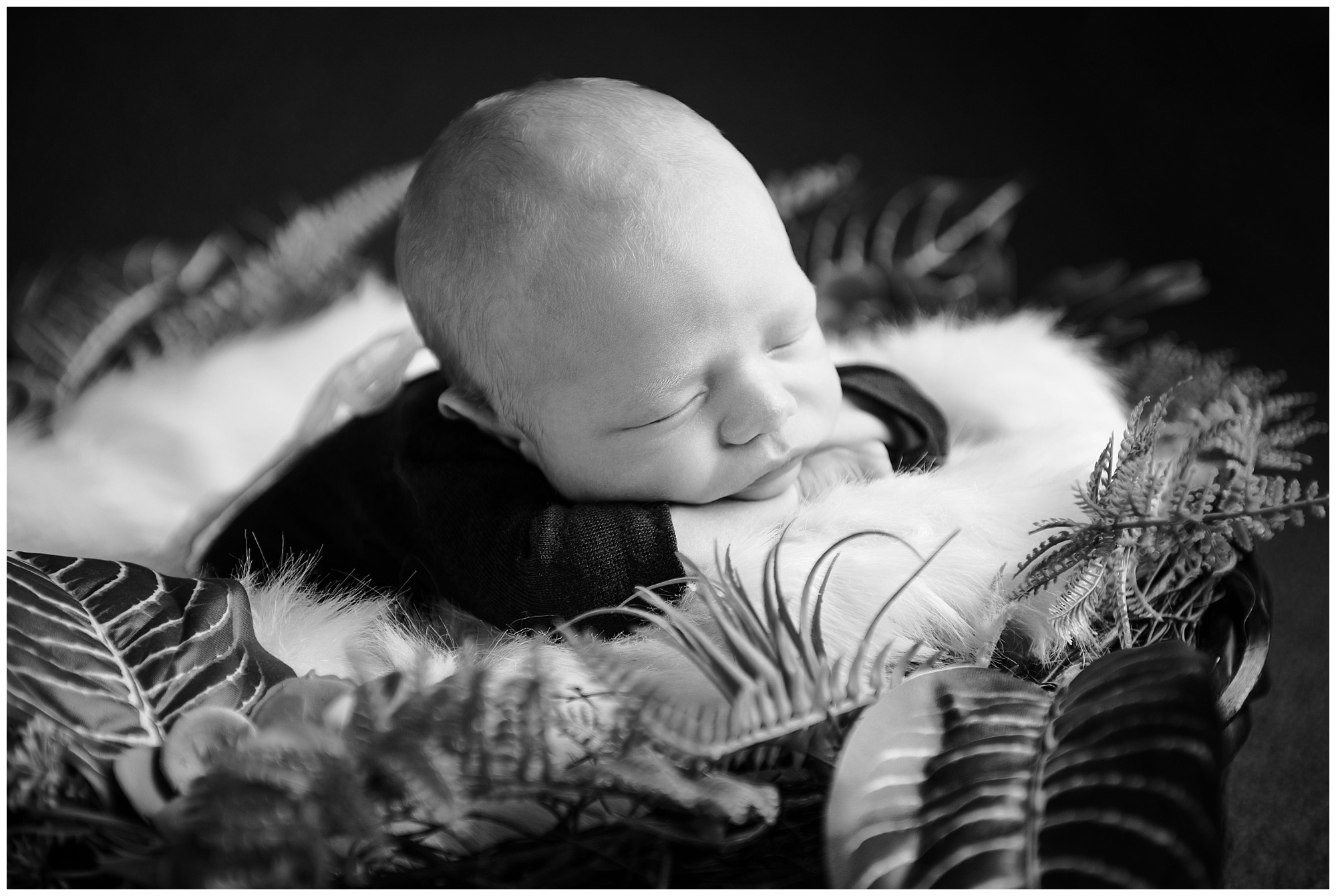 Halifax newborn photos