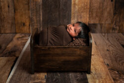 Baby boy newborn photos