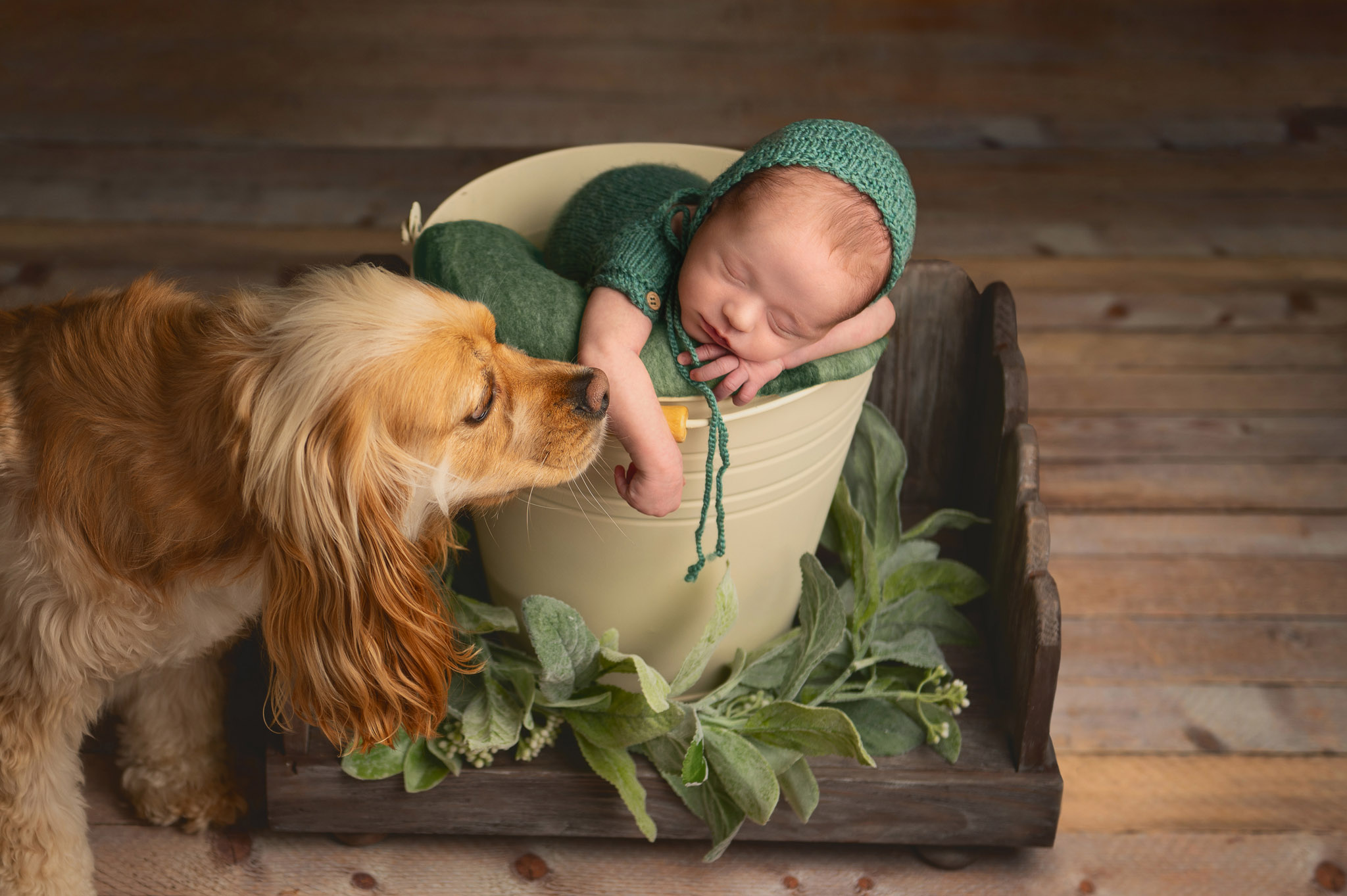 Newborn with dog photo