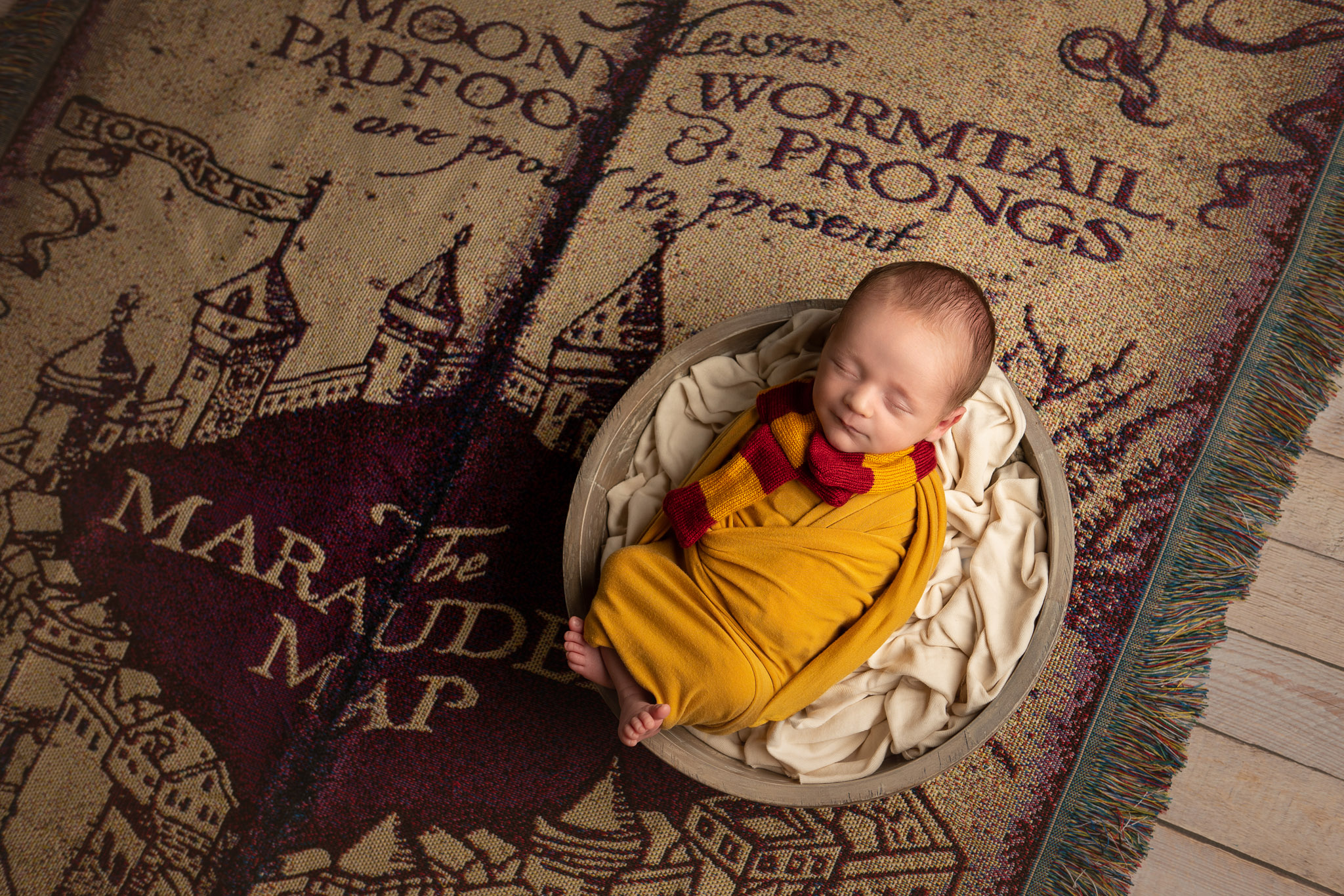 Harry potter newborn session