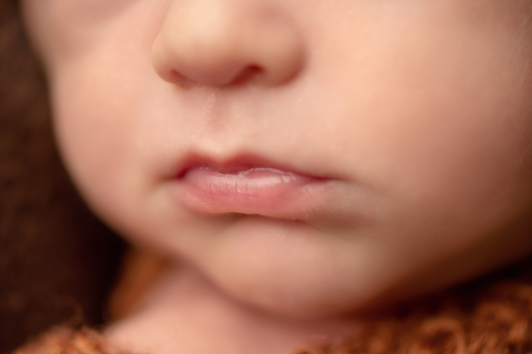 Newborn photography Halifax