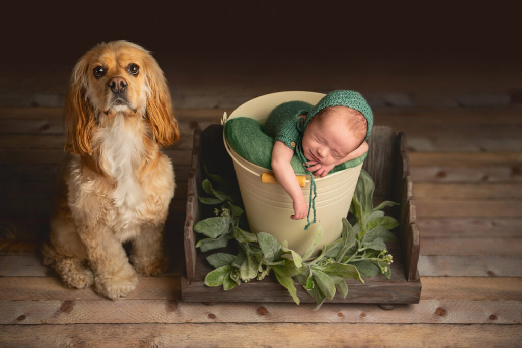 Newborn photos with dog