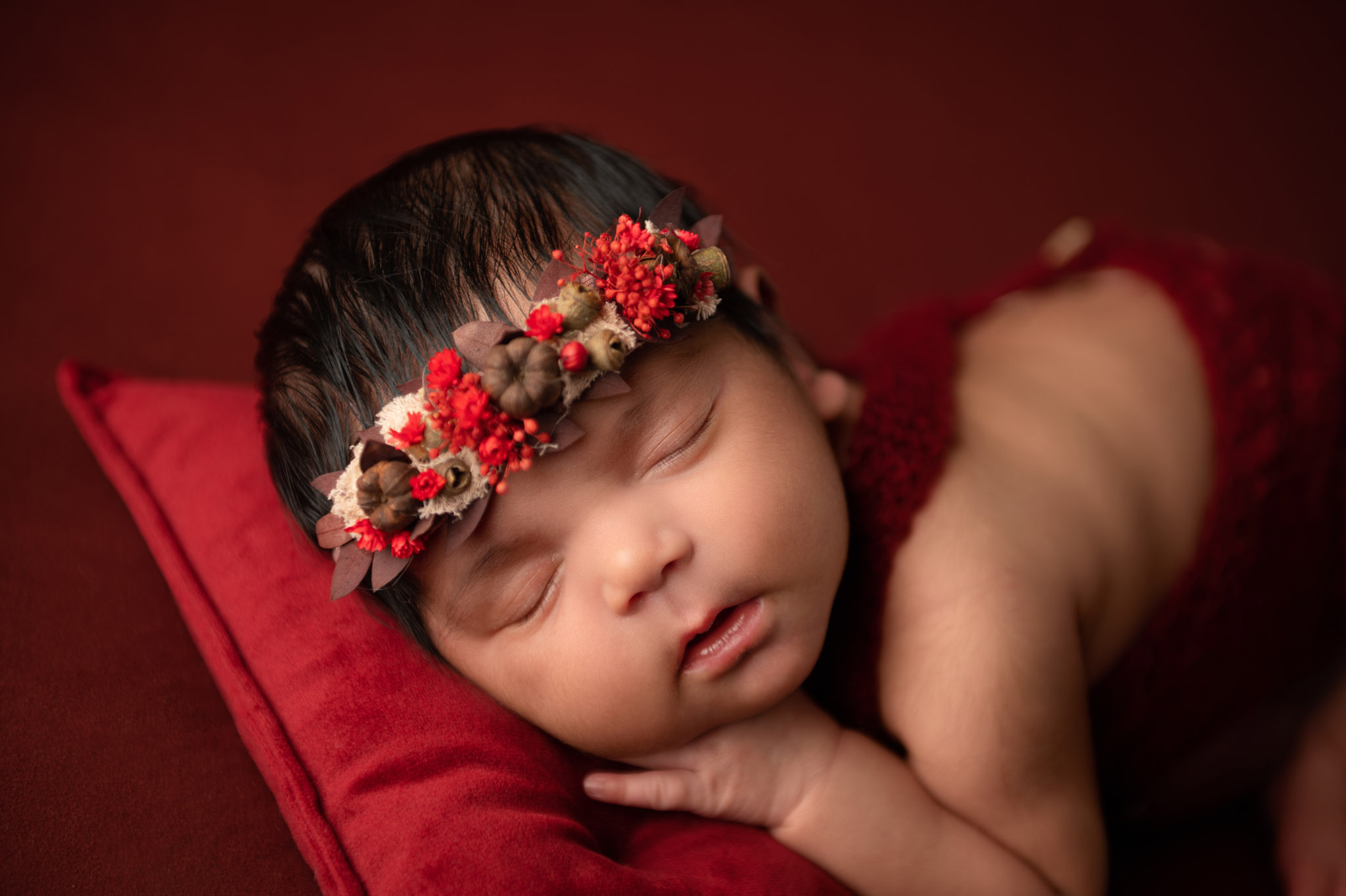Newborn photographers Halifax