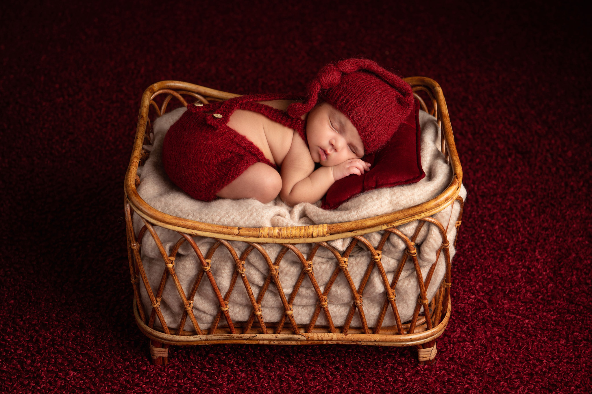 Newborn photographers Halifax NS