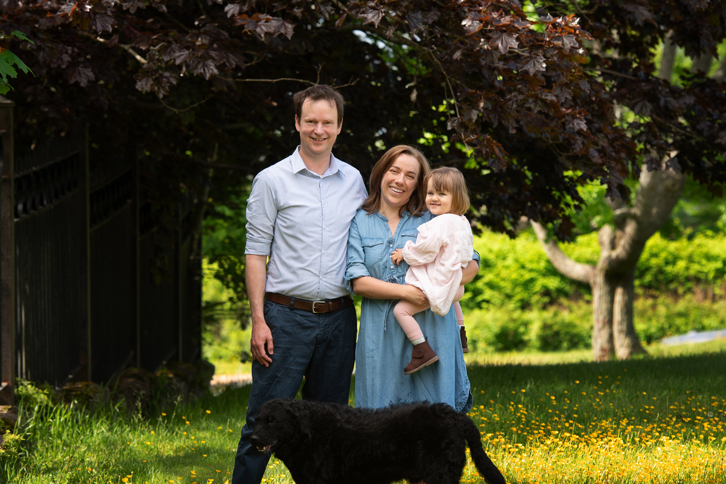 family photos with dog