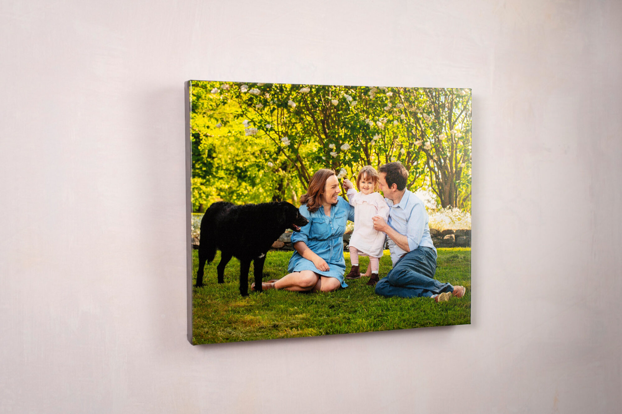 Canvas Halifax Professional Photographer