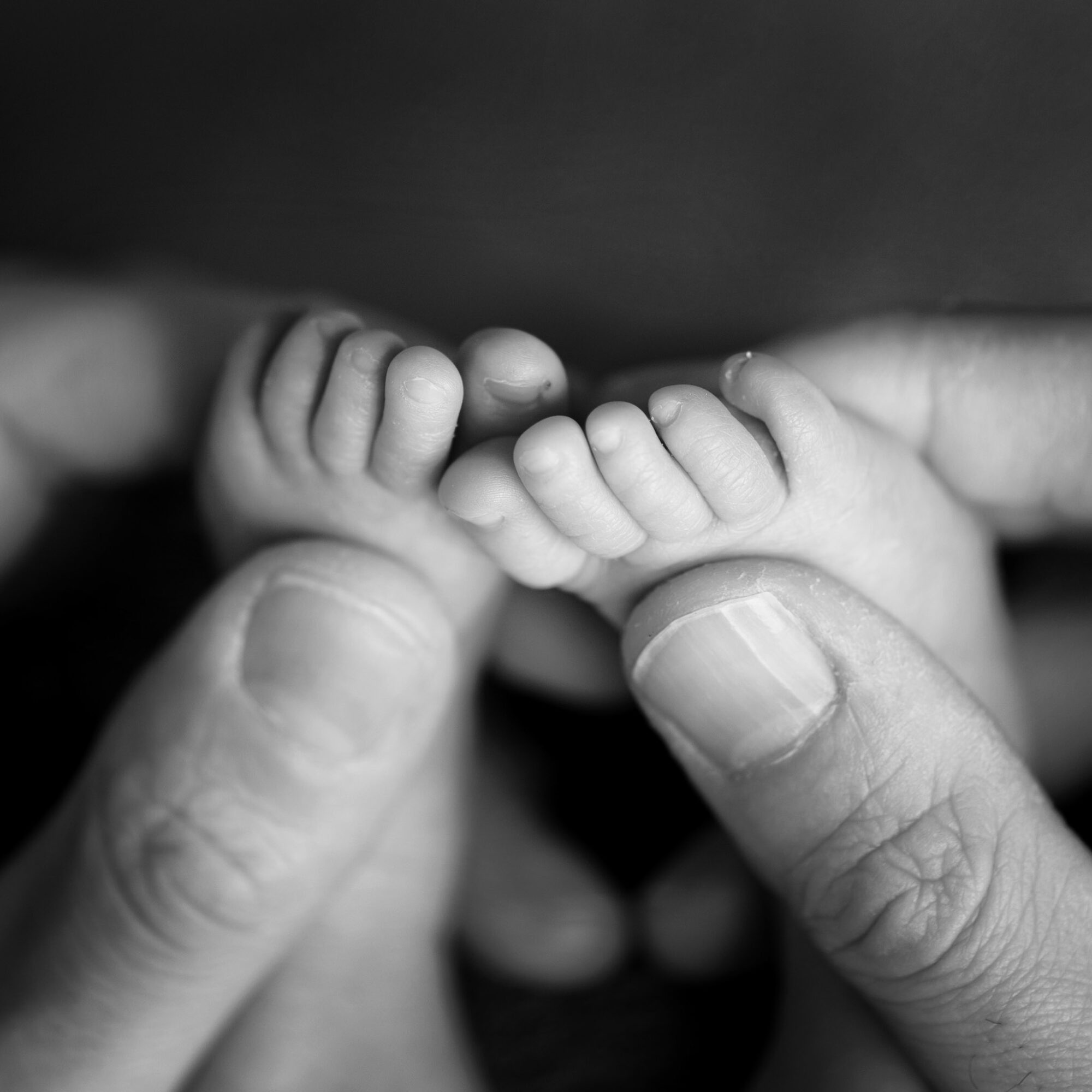 Newborn details macro photo session