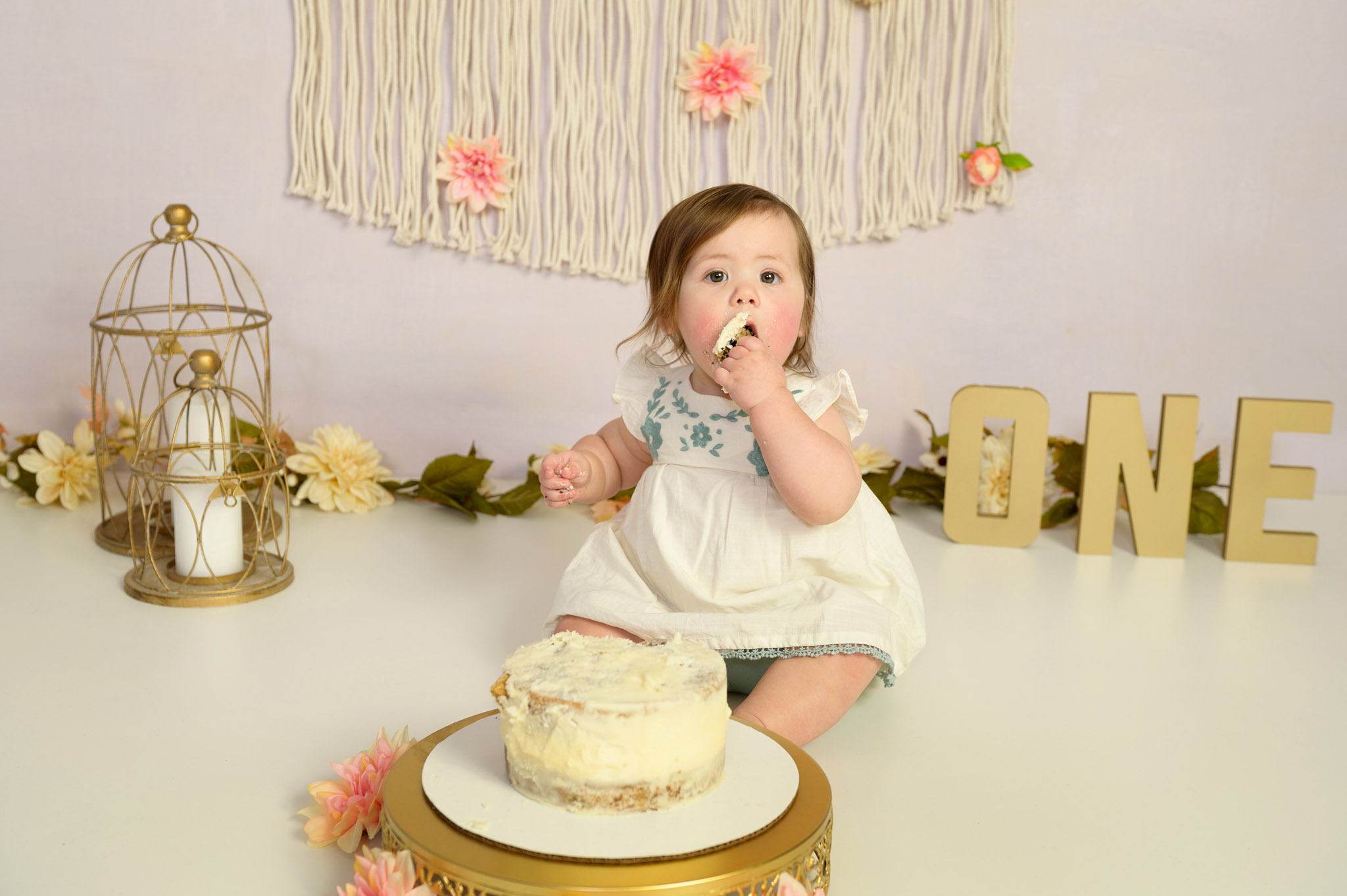 1st birthday milestone cake smash session