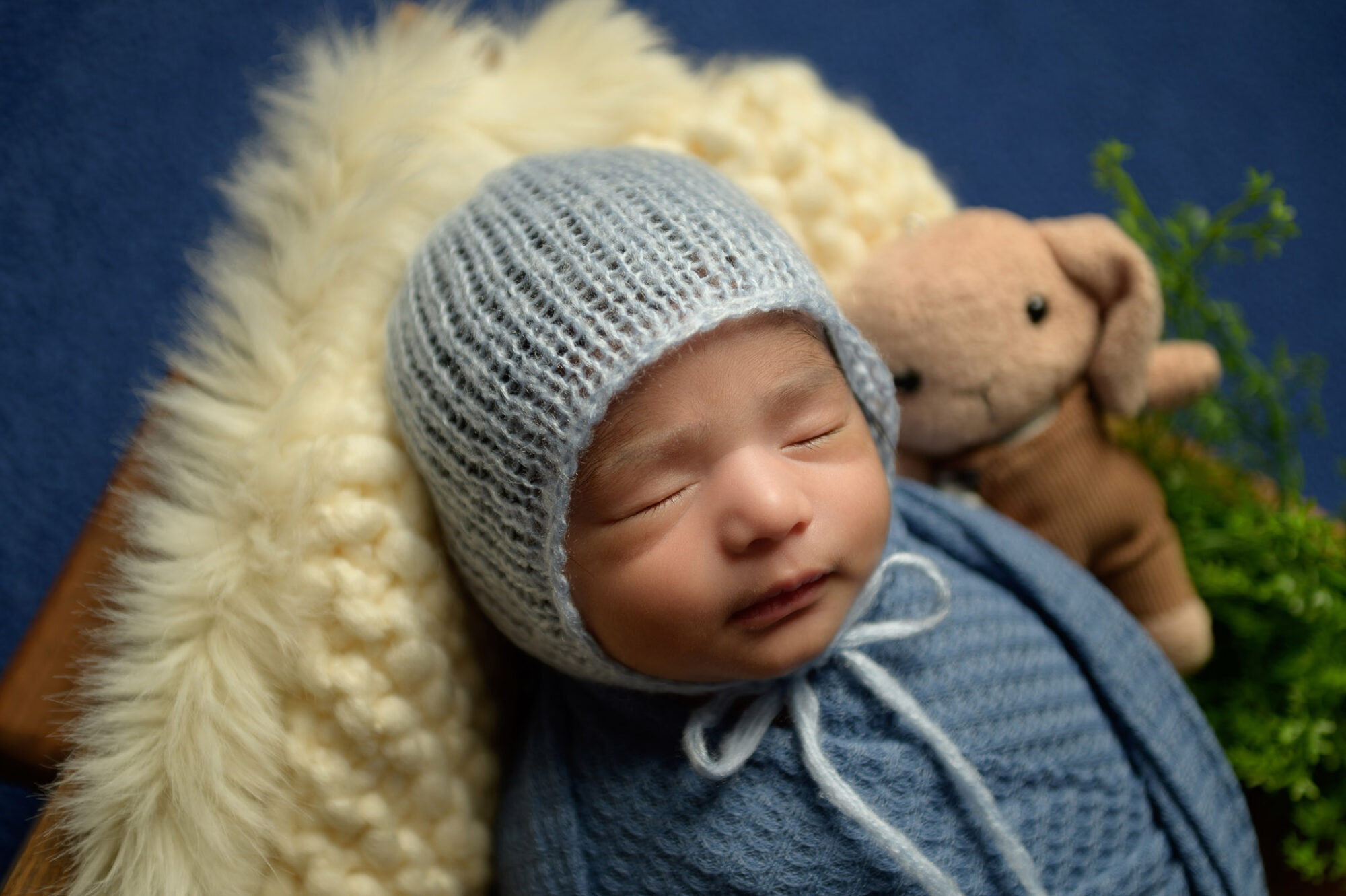 Halifax newborn photographer