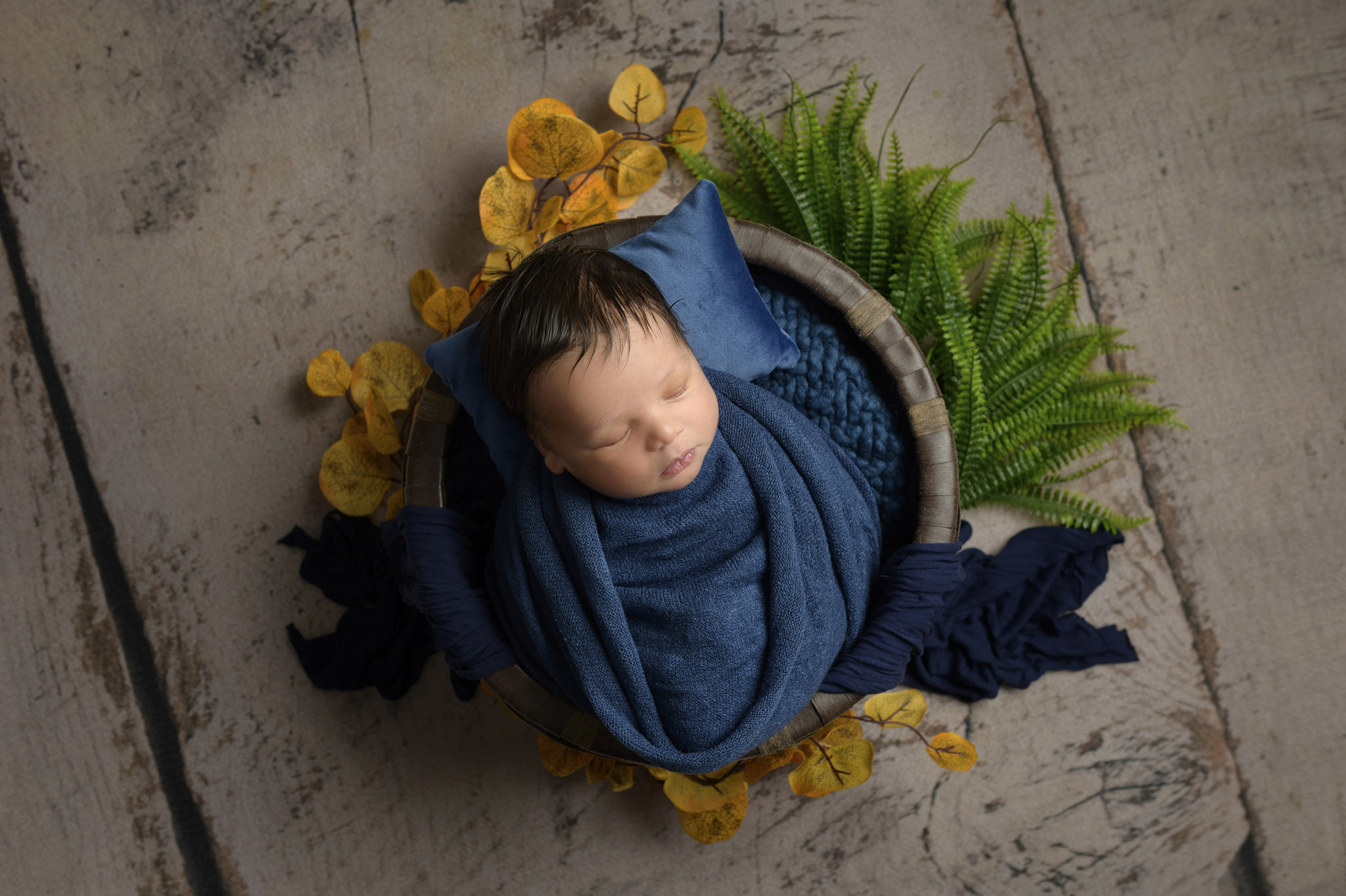 Halifax newborn photographer