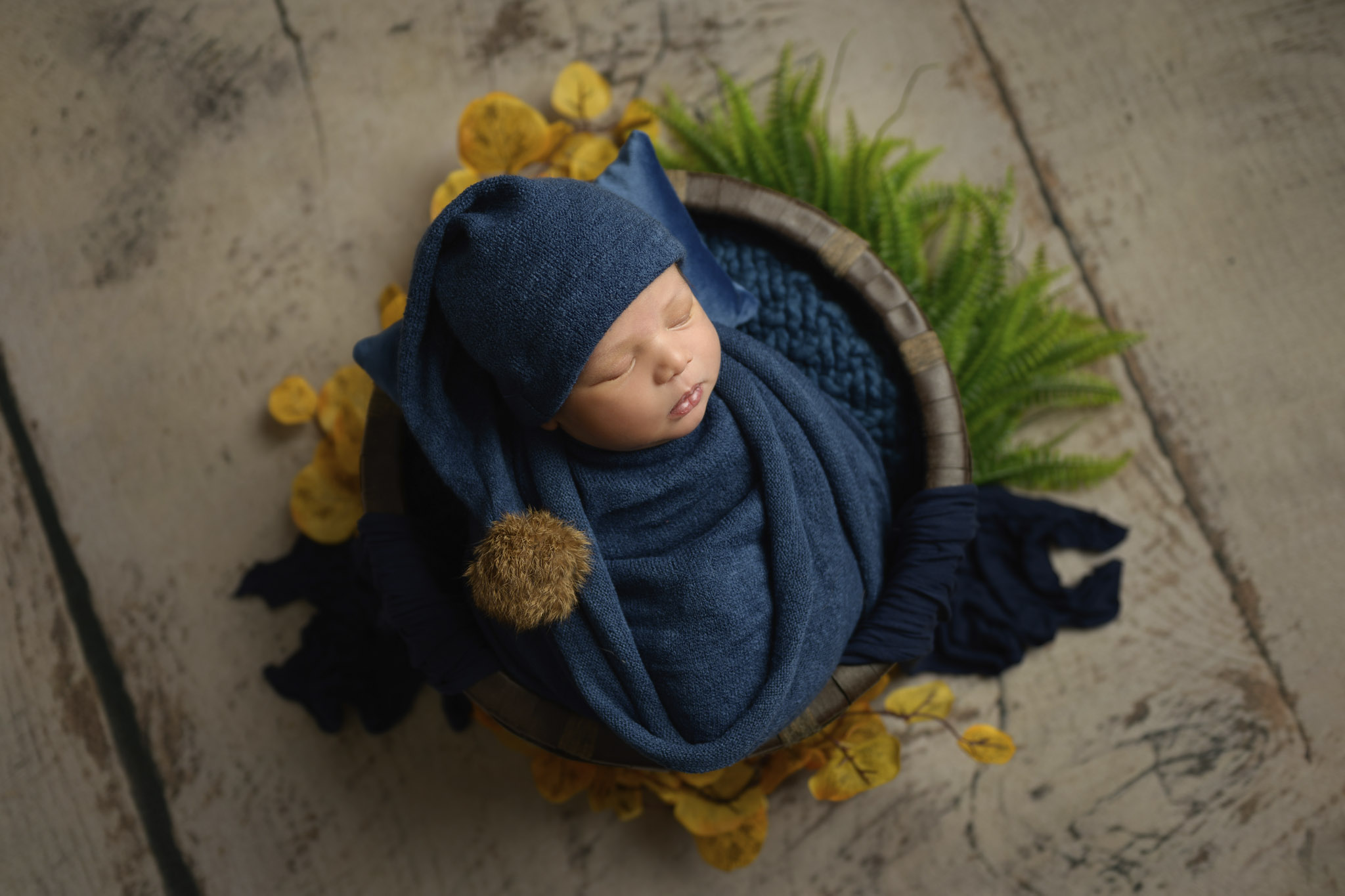 Newborn photos Halifax NS