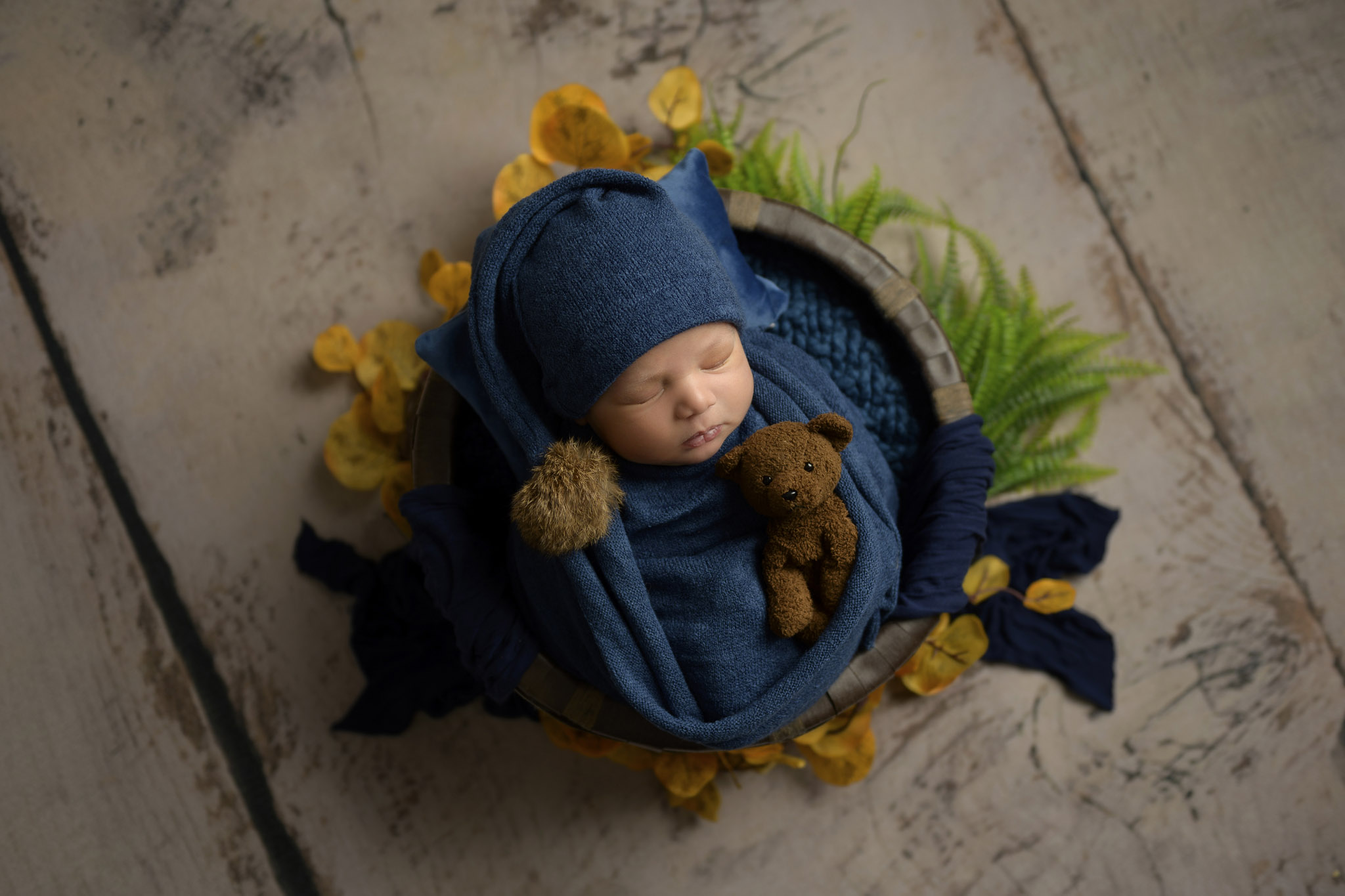 newborn baby photo shoot Halifax