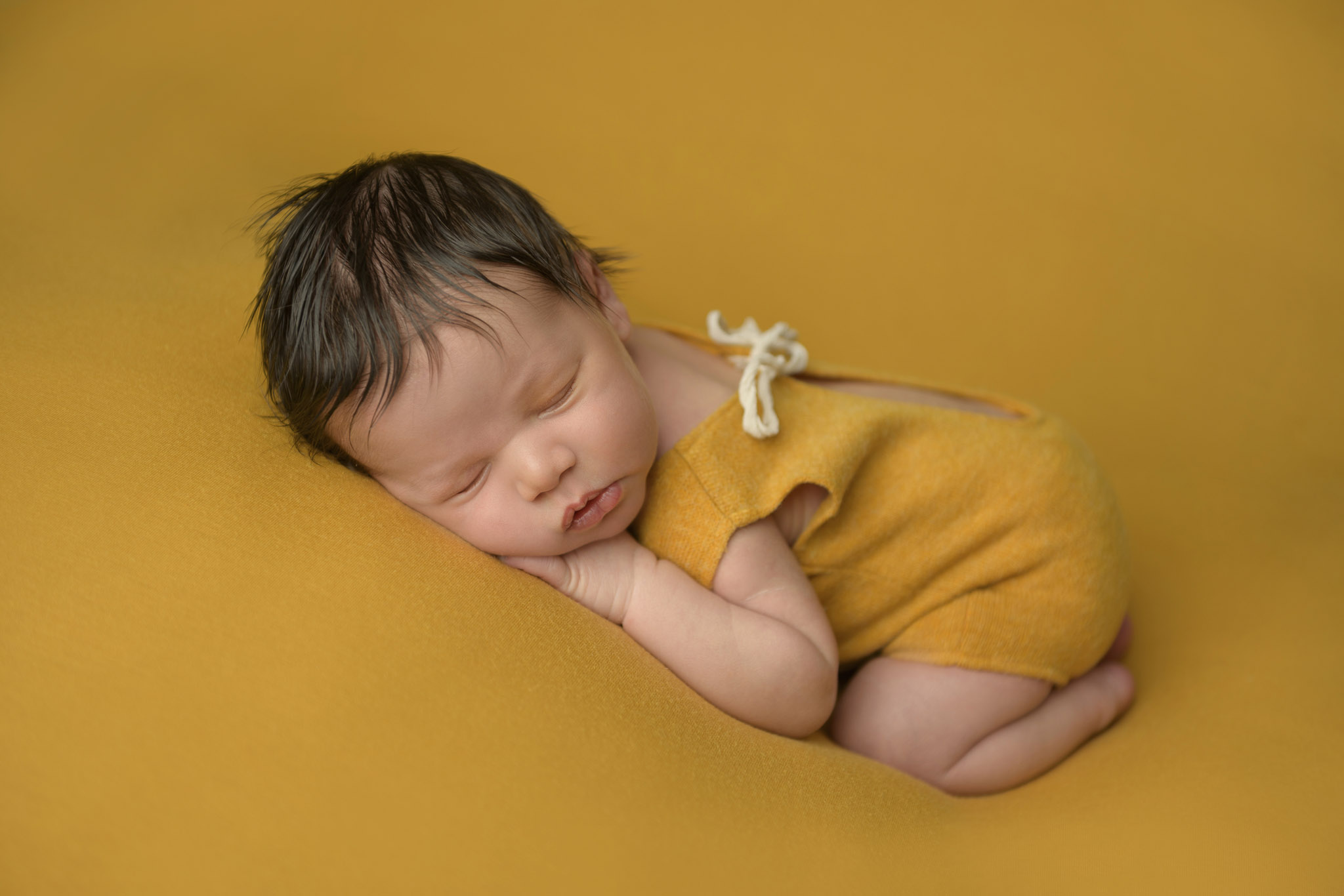 Halifax newborn photography session