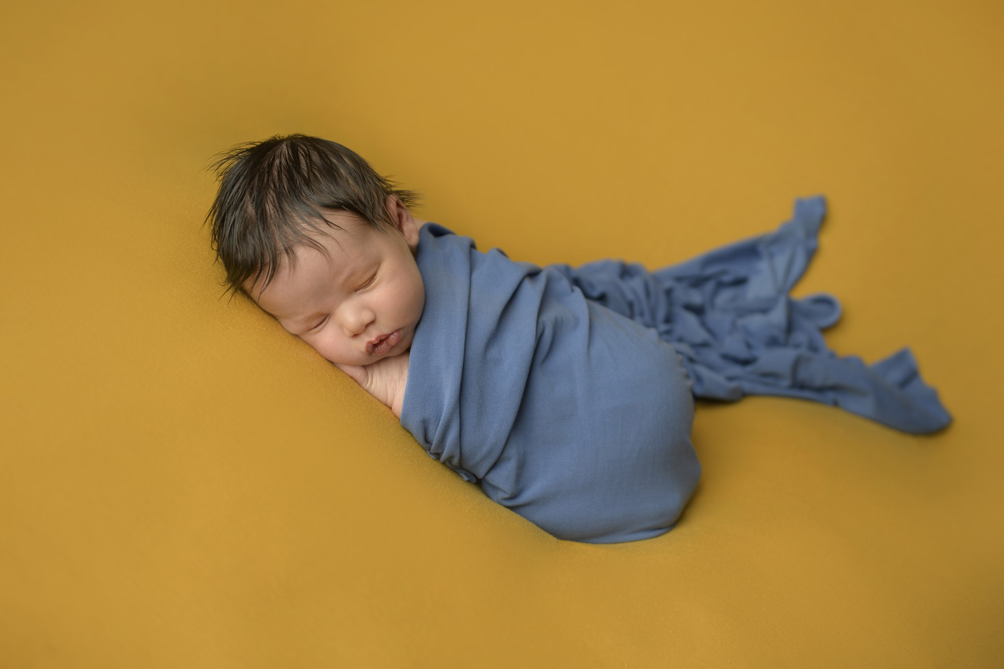 Halifax newborn photographer