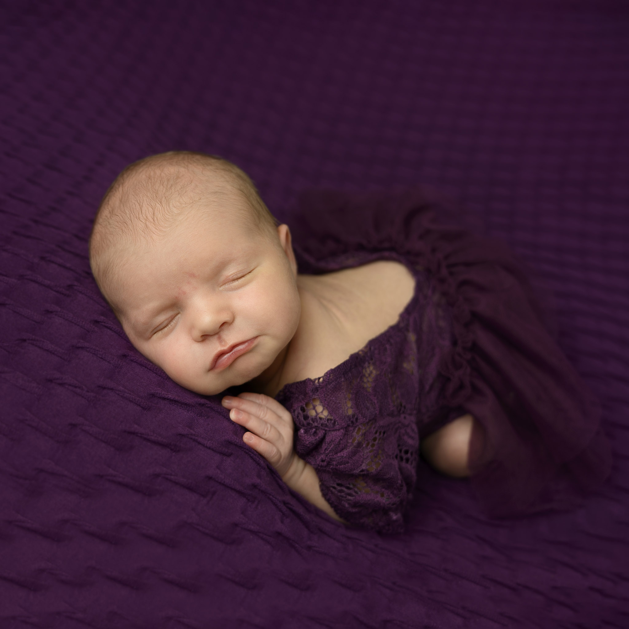 newborn baby girl purple Halifax photographers