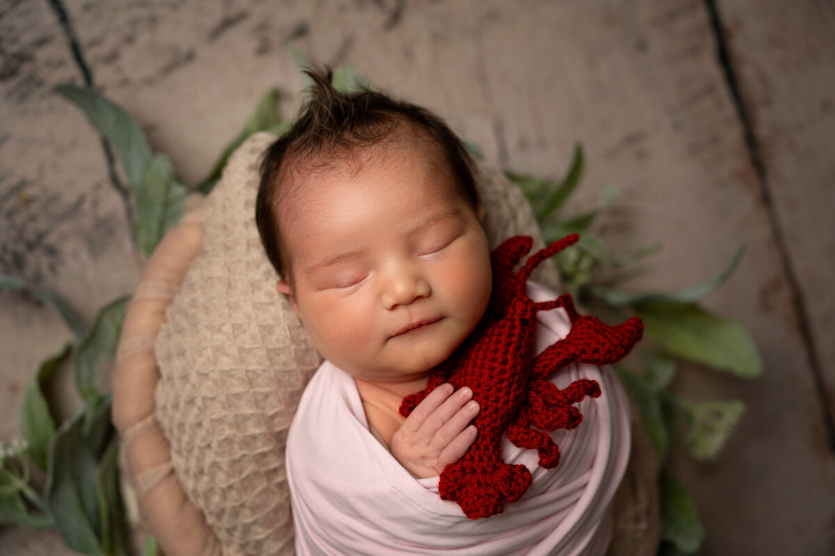 Halifax newborn photographer