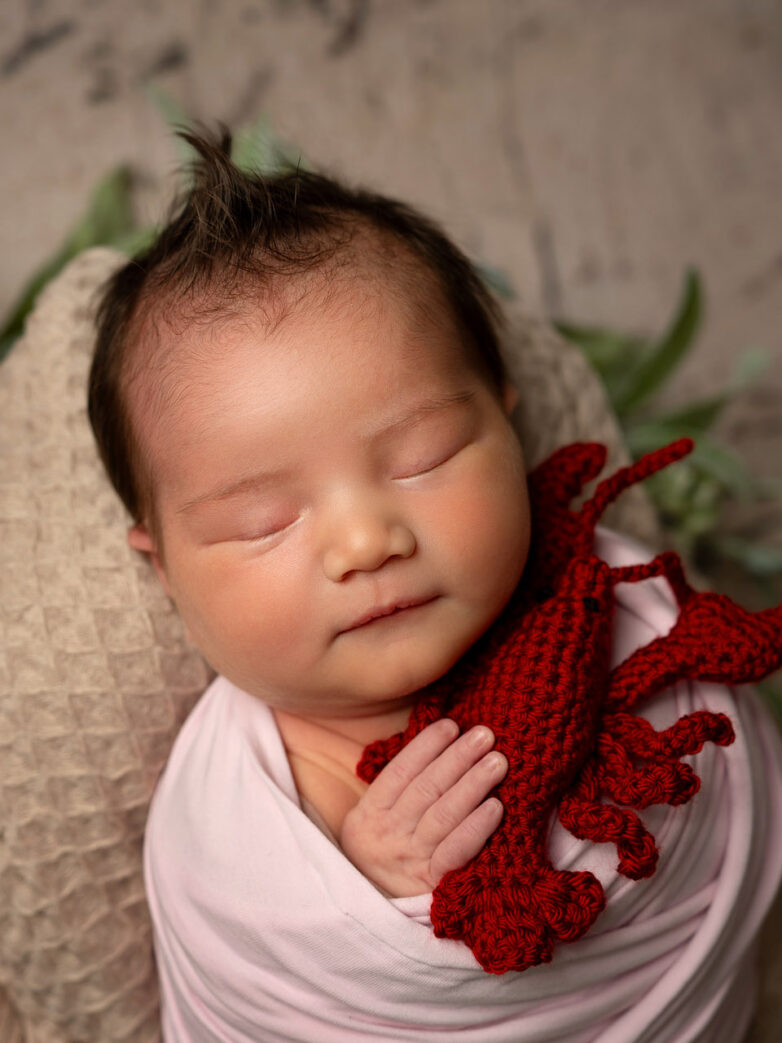 Halifax Maternity & Newborn Photography: A Little Lobster, a Lot of Love