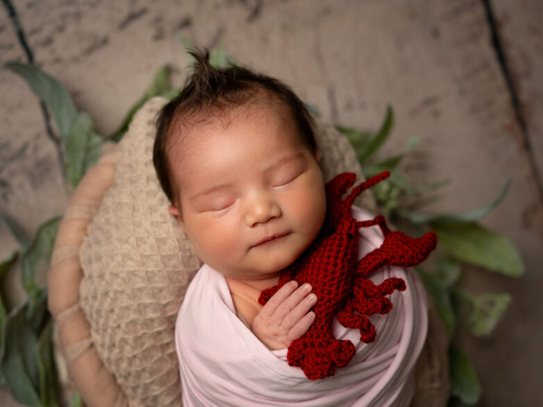 Halifax Maternity & Newborn Photography: A Little Lobster, a Lot of Love