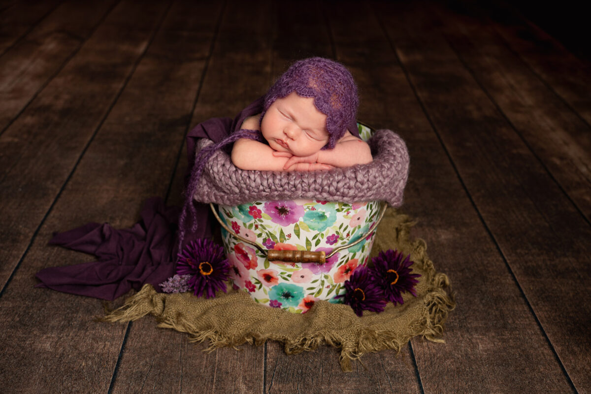 Newborn baby wearing a purple bonnet in a bucket in Halifax