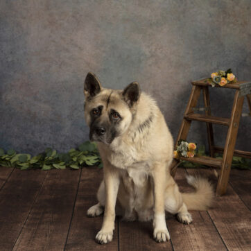Daycare photos