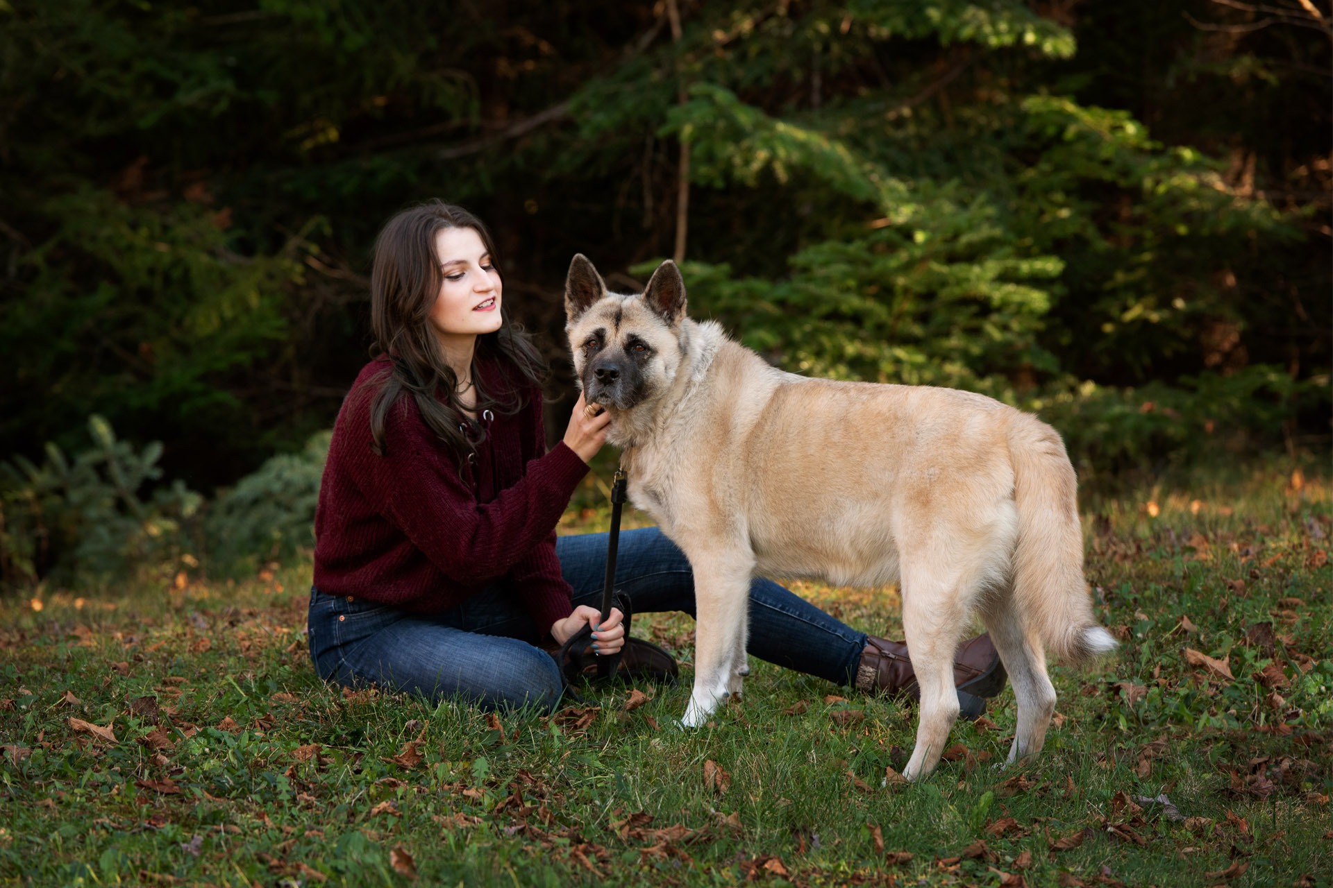 Pet photography session natural light in Halifax by photographer Rebecca Clarke